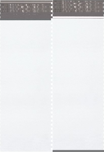 Courier Mailing Envelope: 12